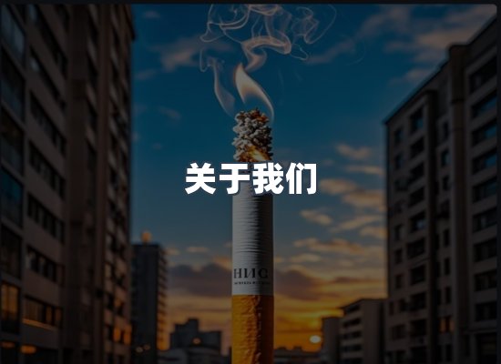 关于我们